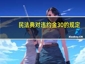 民法典对违约金30%的规定（民法典对违约金的规定）