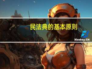 民法典的基本原则
