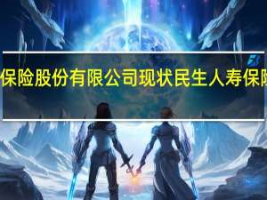 民生人寿保险股份有限公司现状 民生人寿保险股份有限公司