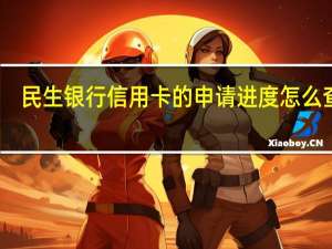 民生银行信用卡的申请进度怎么查询（民生银行信用卡的申请进度怎么查）