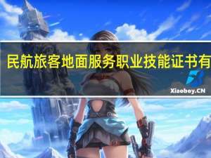 民航旅客地面服务职业技能证书有用吗