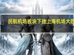 民航机场板块下挫 上海机场大跌8%