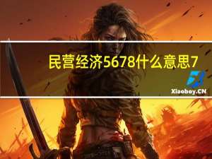 民营经济5678什么意思7（民营经济5678什么意思）