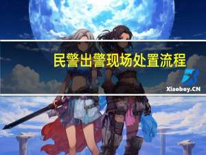 民警出警现场处置流程