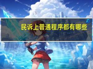 民诉上普通程序都有哪些