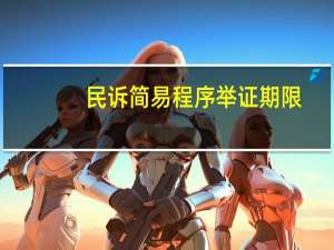 民诉简易程序举证期限