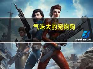 气味大的宠物狗