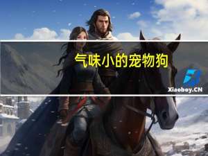 气味小的宠物狗