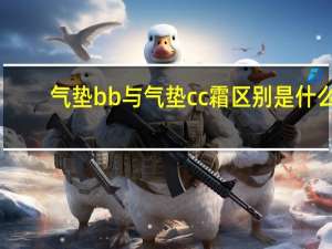 气垫bb与气垫cc霜区别是什么