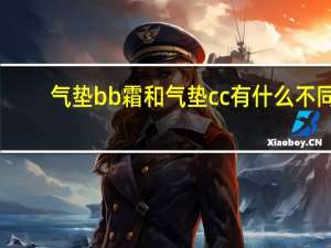 气垫bb霜和气垫cc有什么不同