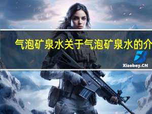 气泡矿泉水 关于气泡矿泉水的介绍