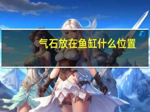 气石放在鱼缸什么位置
