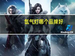 氙气灯哪个品牌好