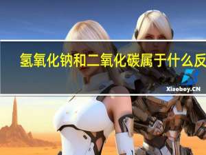 氢氧化钠和二氧化碳属于什么反应