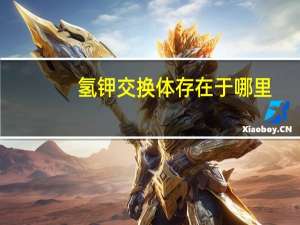 氢钾交换体存在于哪里