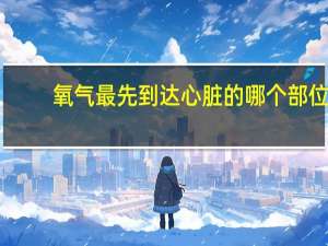 氧气最先到达心脏的哪个部位