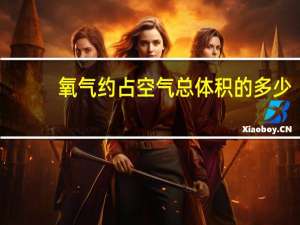 氧气约占空气总体积的多少