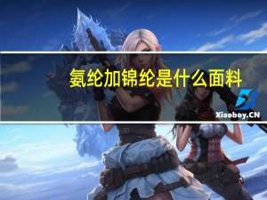 氨纶加锦纶是什么面料