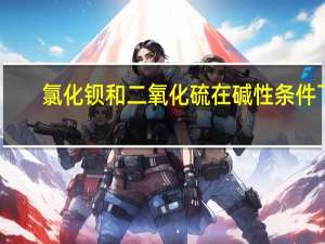 氯化钡和二氧化硫在碱性条件下（氯化钡和二氧化硫）