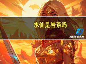 水仙是岩茶吗