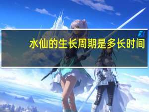 水仙的生长周期是多长时间