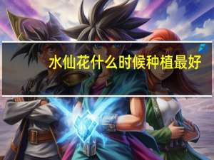 水仙花什么时候种植最好