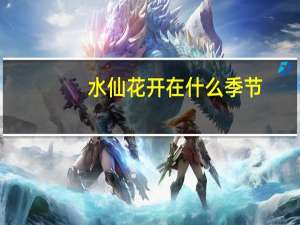 水仙花开在什么季节