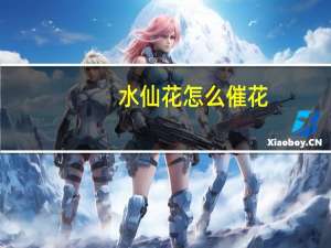 水仙花怎么催花