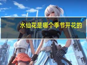水仙花是哪个季节开花的