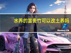 水养的富贵竹可以改土养吗