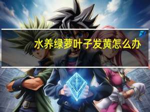 水养绿萝叶子发黄怎么办