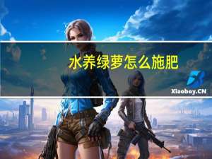 水养绿萝怎么施肥