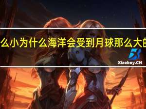 水分子那么小为什么海洋会受到月球那么大的引力引起潮汐