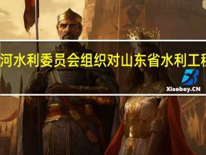 水利部淮河水利委员会组织对山东省水利工程开展质量巡查