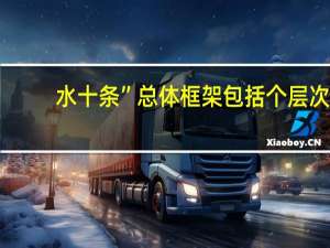 水十条”总体框架包括（）个层次（水十条）