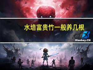 水培富贵竹一般养几根