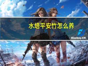 水培平安竹怎么养