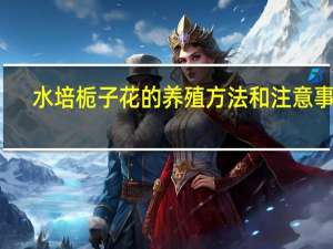 水培栀子花的养殖方法和注意事项