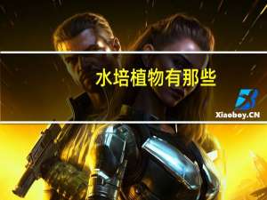水培植物有那些