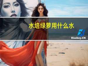水培绿萝用什么水