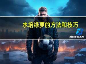 水培绿萝的方法和技巧