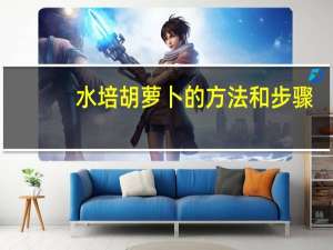 水培胡萝卜的方法和步骤