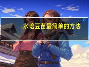 水培豆苗最简单的方法