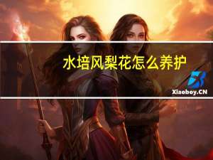 水培风梨花怎么养护