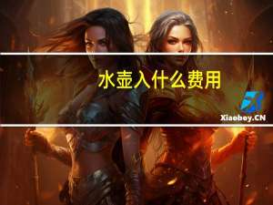 水壶入什么费用