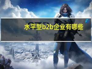 水平型b2b企业有哪些