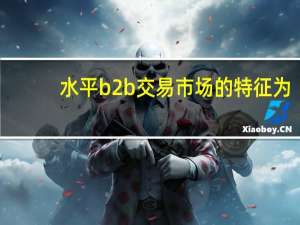 水平b2b交易市场的特征为