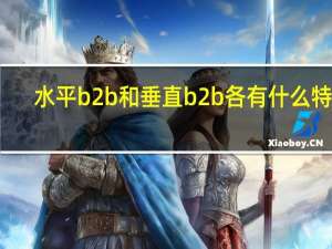 水平b2b和垂直b2b各有什么特点