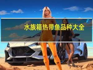 水族箱热带鱼品种大全（水族箱热带鱼屏保）