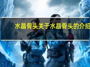 水晶骨头 关于水晶骨头的介绍